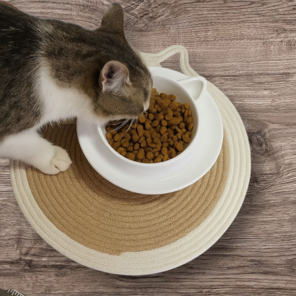 Kedi Mama Paspas Evcil Hayvan Paspası Yuvarlak Hasır Kedi Mama Matı (2 adet)